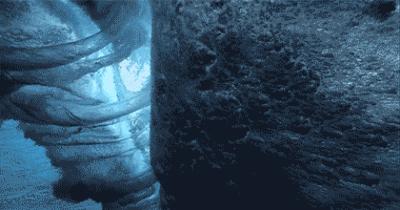 意外总是比惊喜来得快,意外和惊喜总是来得很突然