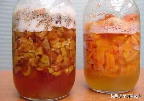 养茉莉花,一个花苞都没有?只需浇“2种水”,花苞多、开花量大