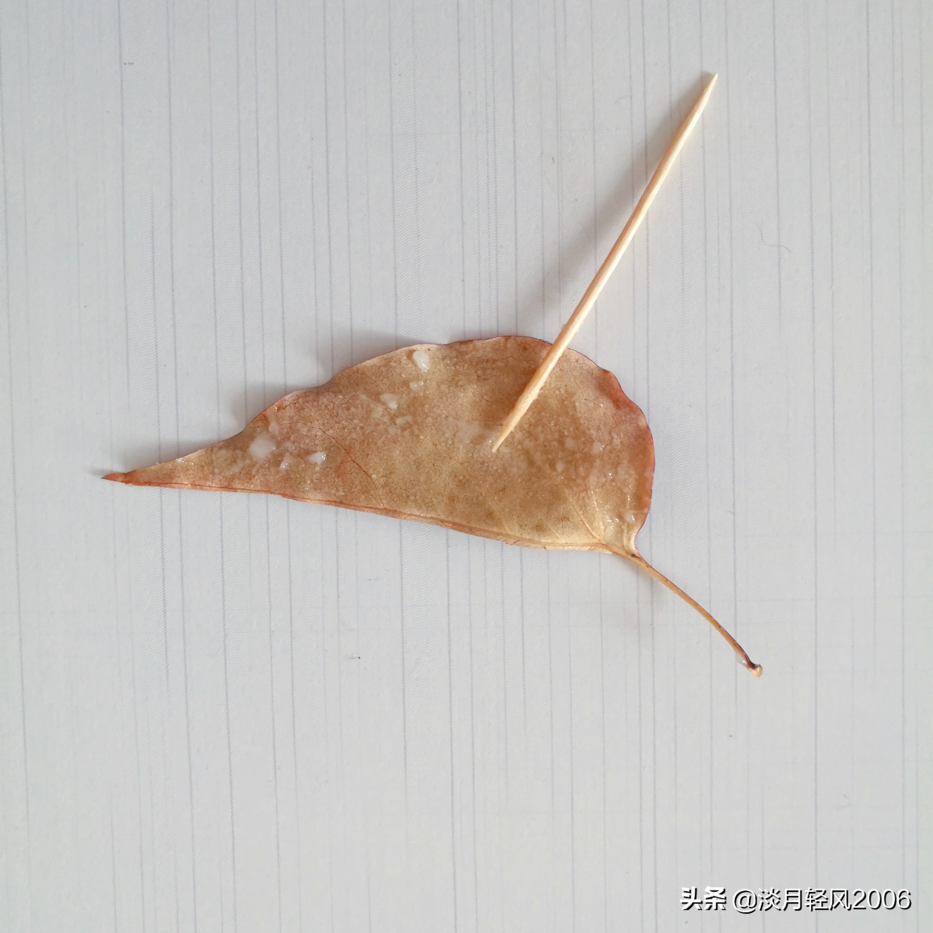 幼儿园冬季手工老鼠贴画,树叶贴画简单又好看老鼠