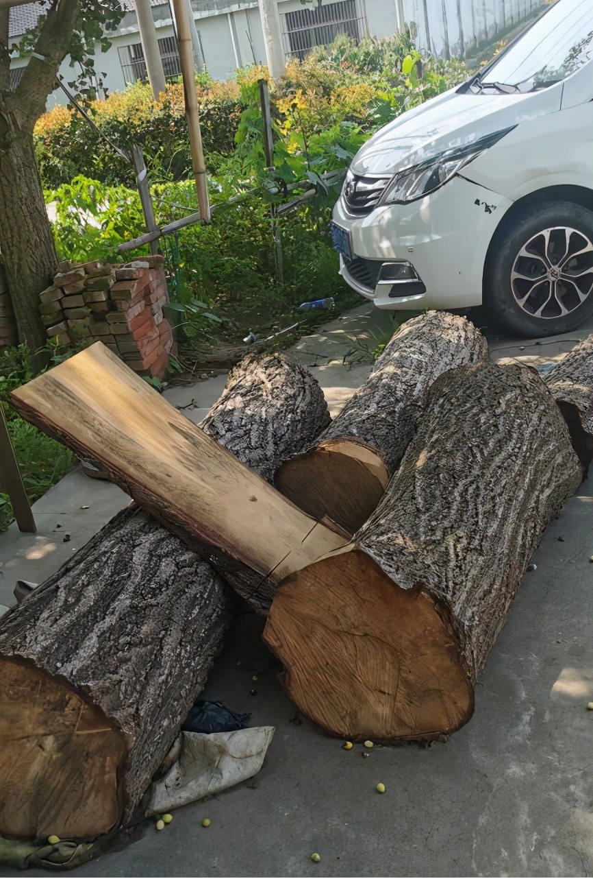 砧板打假测评,砧板真实测评