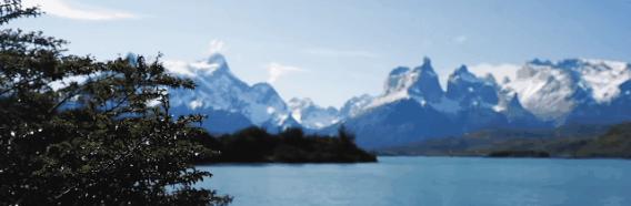 智利车厘子10大品牌,智利车厘子介绍视频