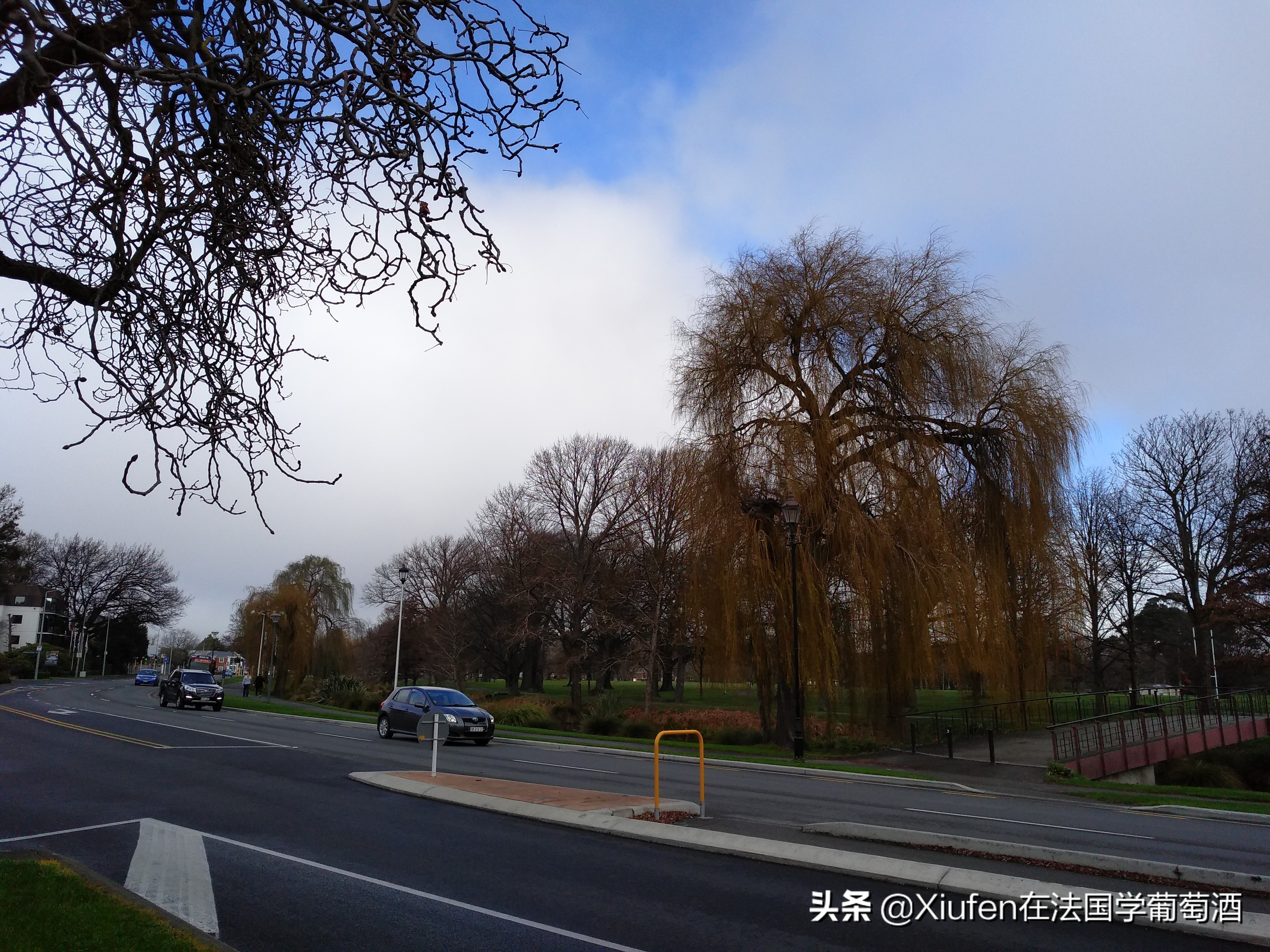新西兰基督城城市风景,新西兰基督城风景漫步