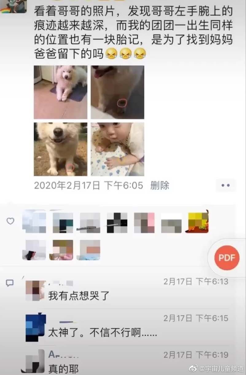 狗狗胎记和孩子一样,狗狗有胎记孩子也有胎记