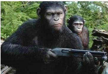 对付垃圾人怎么回击,对付垃圾人的方法和技巧