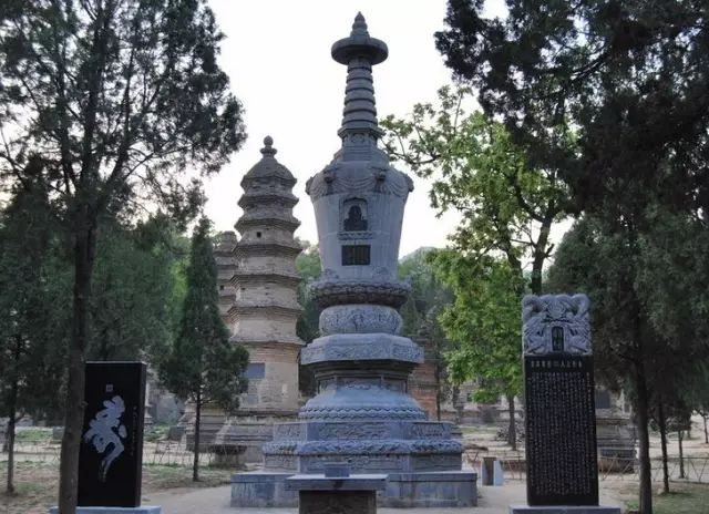 有多少人被国家旅游局列入黑名单 (旅游十大黑幕真实案例)