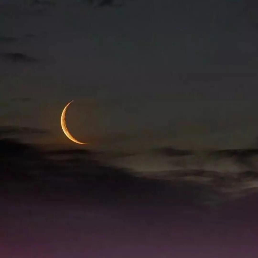 “月亮不睡我不睡，我是人间小宝贝”——你家有这样的孩子么？