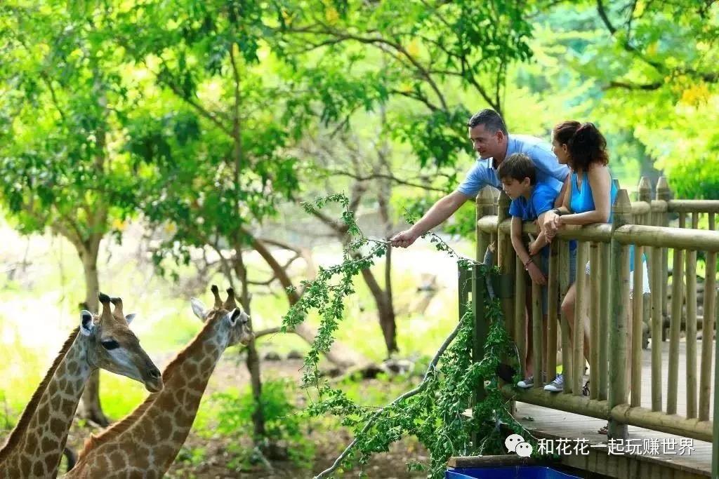 北京到毛里求斯自由行攻略,毛里求斯攻略完整版