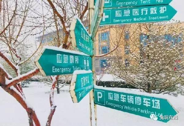 如果你的生命只剩5秒你会做什么,如果只剩下5秒时间你会做什么