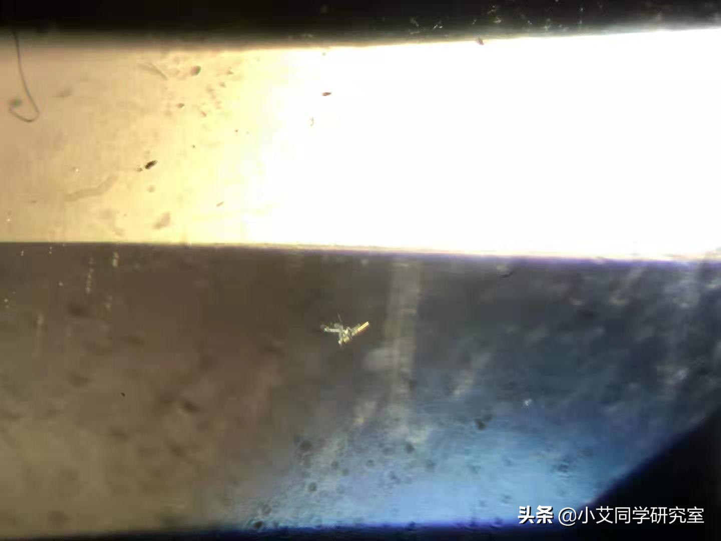 揭秘珠宝鉴定师的秘密,珠宝鉴定小常识