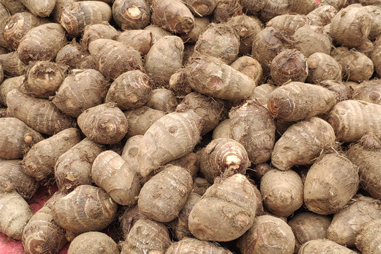 芋头除了蒸吃还能怎么吃,早餐红薯玉米土豆芋头南瓜