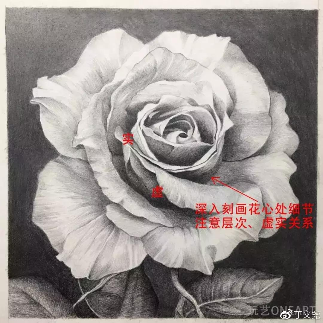 素描教程简单8-12岁玫瑰花,玫瑰素描怎么画