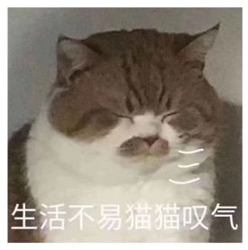 *处私**痒痒痒，「洗洗」能止痒？你还要被骗多久