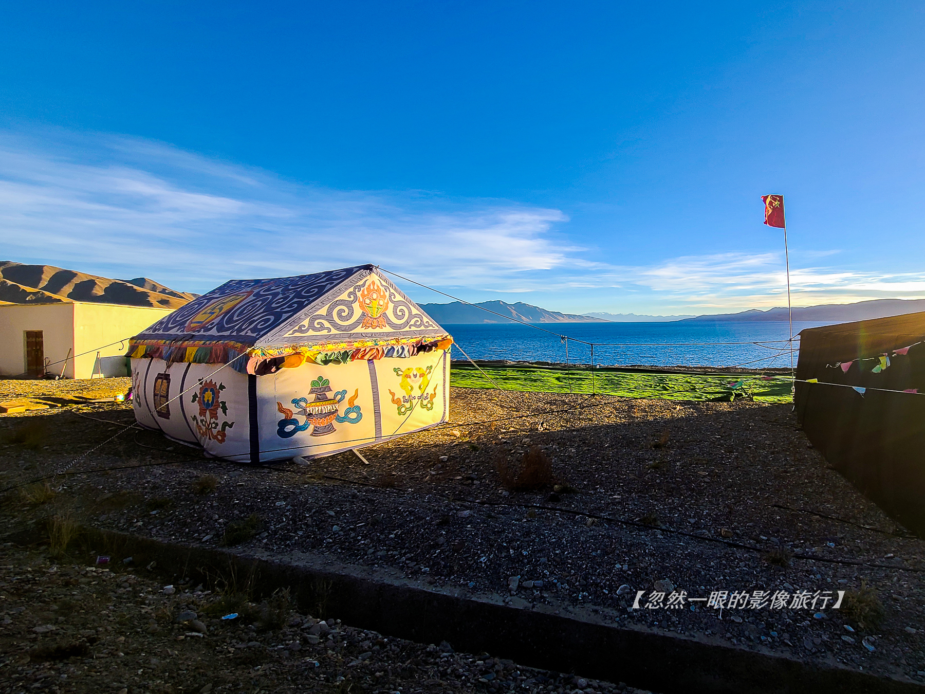 阿里无人区野狼出没,阿里无人区狐狸