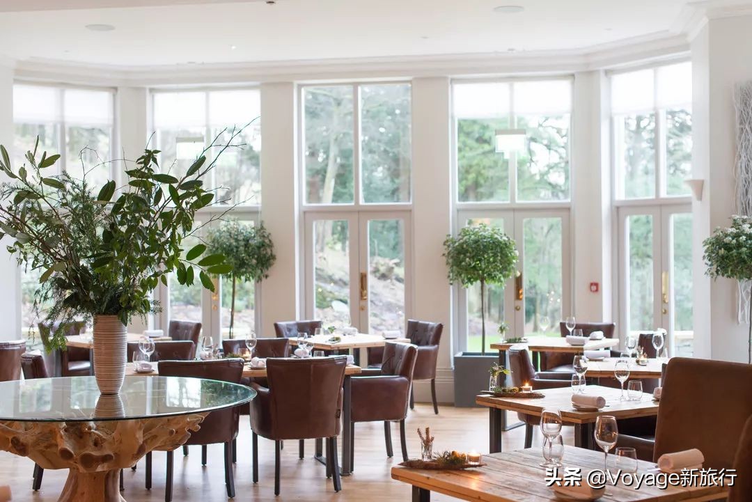 英国美食中国美食,英国美食排行榜前十名炸鱼薯条