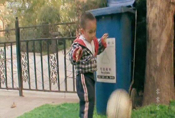 没主见的孩子怎么养,孩子没主见该怎样培养