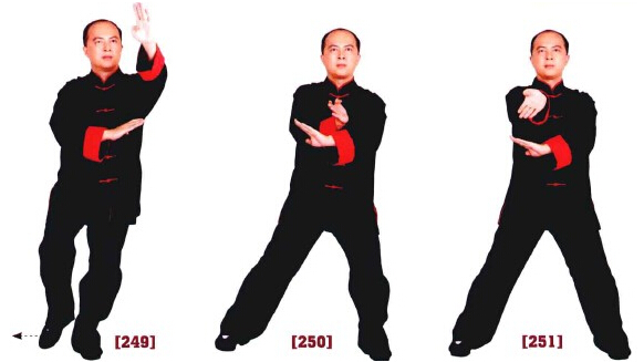 咏春拳入门十二散手,咏春拳标指教学视频