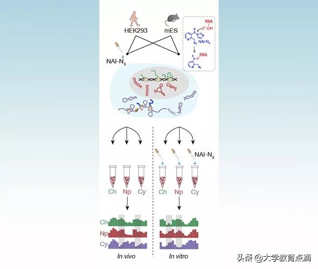 清华最新科技研究成果,清华大学尖端科技成果