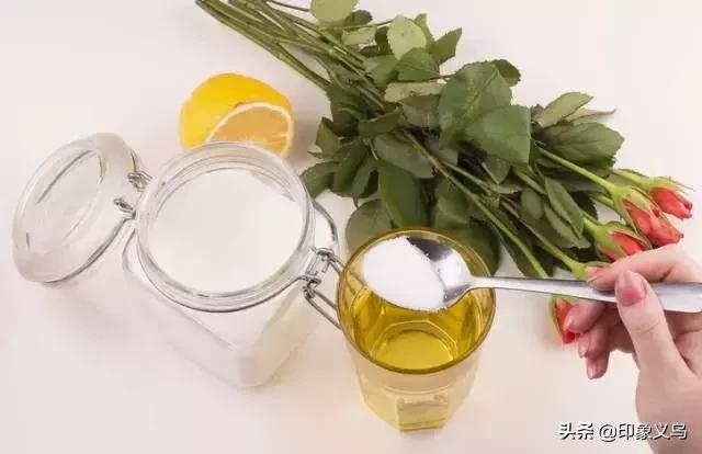 过期药片可以养什么花,用过期的药片能种花吗