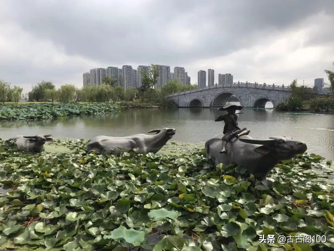 绍兴诗意民宿酒店式公寓,绍兴诗意