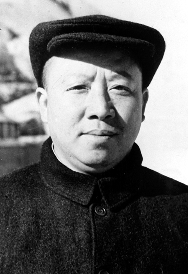 《*园春沁**·雪》轰动重庆,遭国民*文化党**圈*攻围**,毛*东泽**:鸦鸣蝉噪