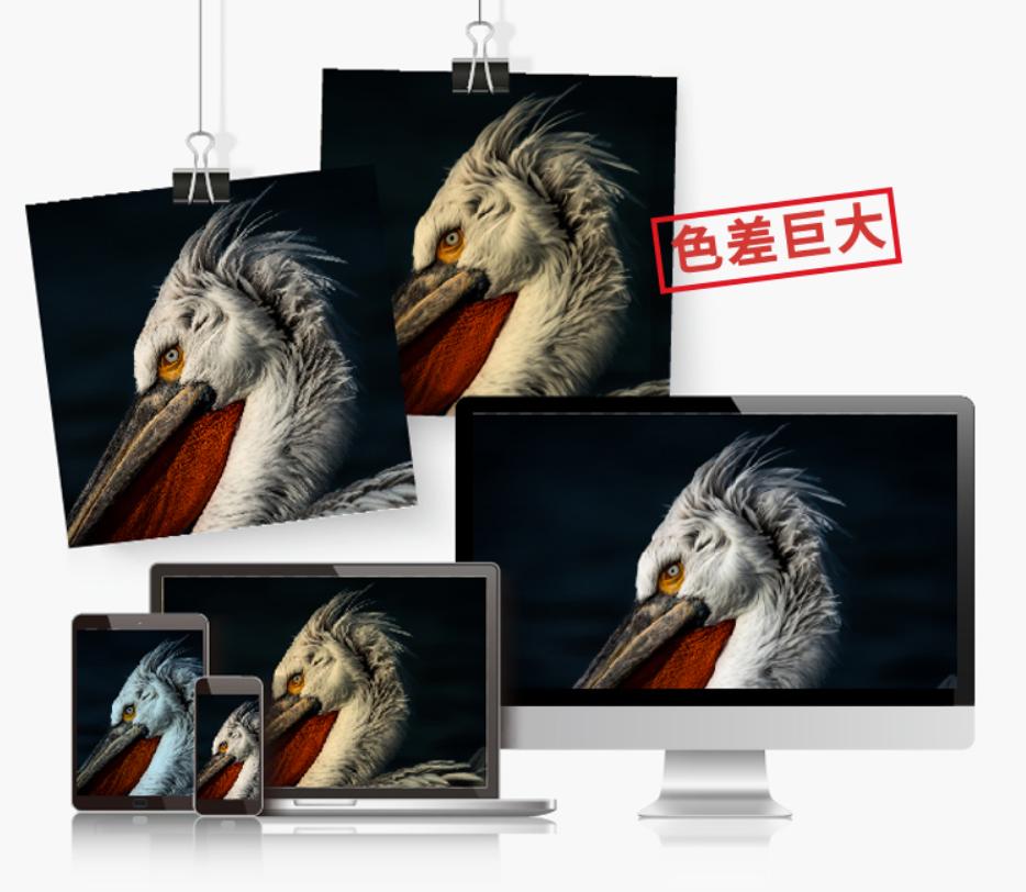 教学显示器怎么选,手把手教大家手机投屏显示器