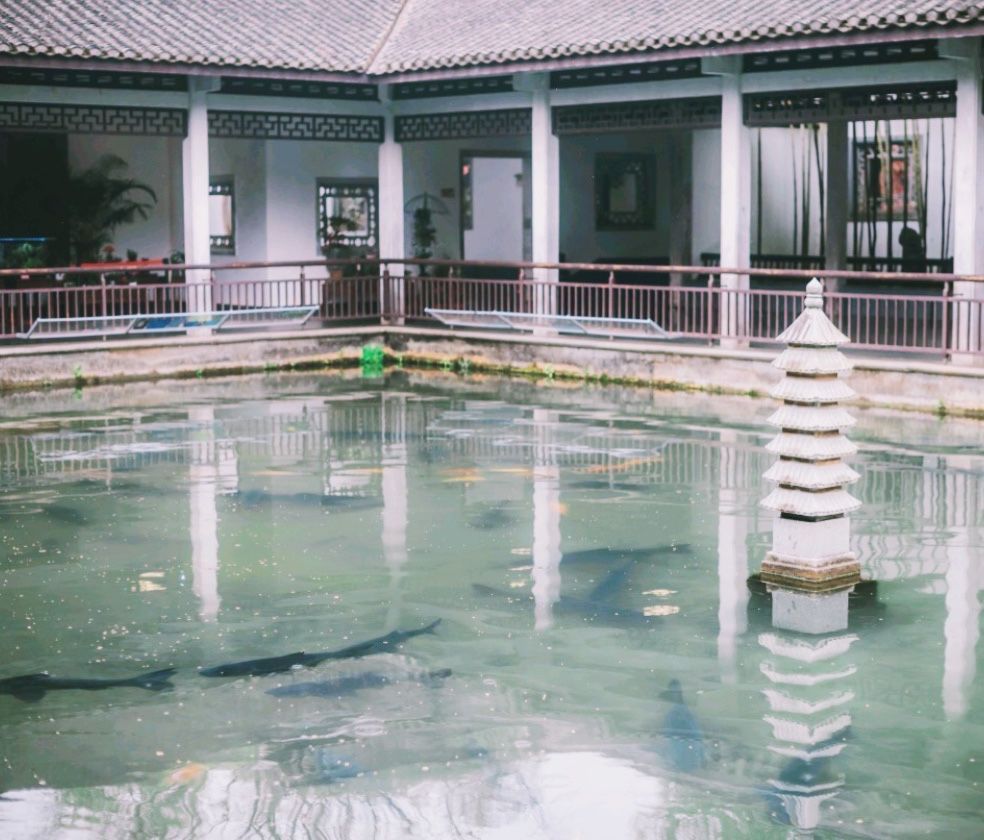 花港一楼茶楼,花港公园一元早茶