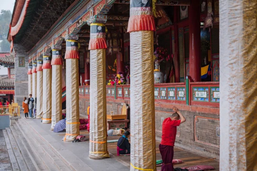 只要你面朝青海湖，八月依旧春暖花开