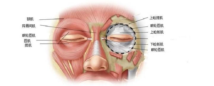 眼周抗衰的关键在于,眼周抗衰一般打几支胶原蛋白