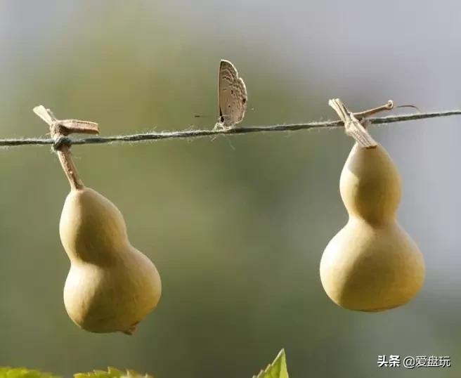 各种手串盘出包浆,快要包浆的手串怎么盘