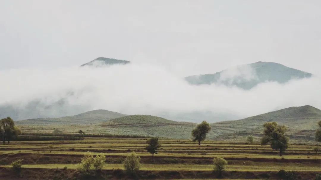 北京姑娘租的房子,北京姑娘自建房子