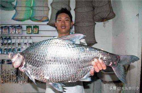 别看这些鱼长得很像，但口味天差地别！钓鱼人十有八九都分不清