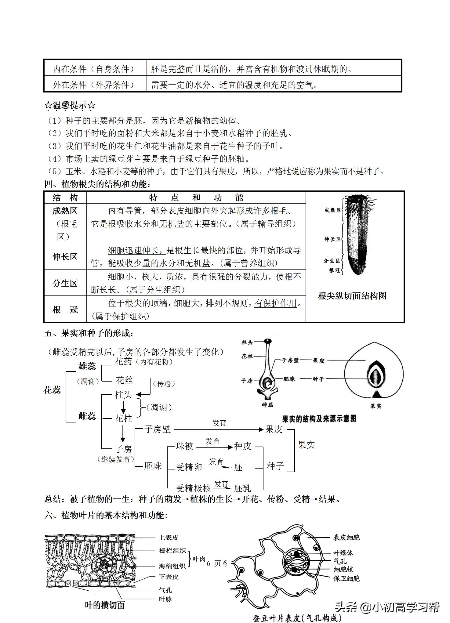 中考生物复习资料大全免费,2022中考生物必考知识点总结