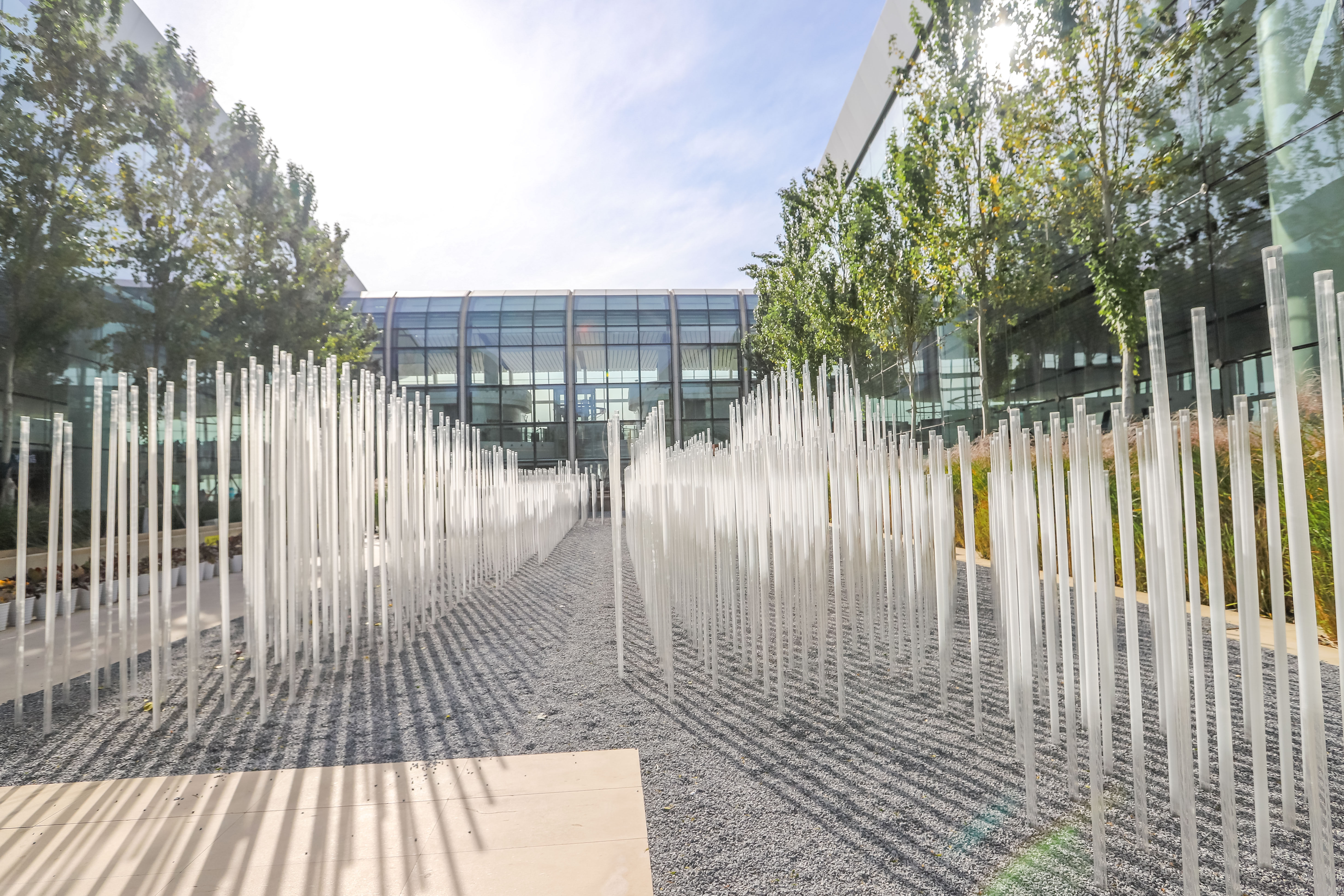 北京新晋网红打卡地,北京大兴机场网红打卡