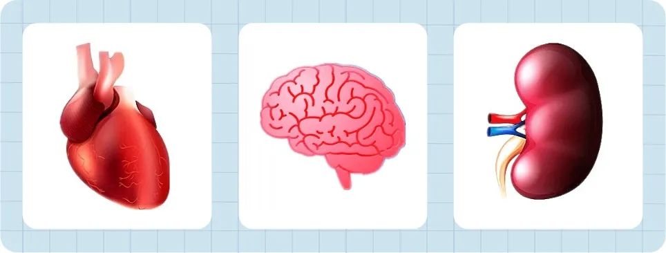 糖尿病和脑梗之间的“秘密”，于怀成医生讲清楚了