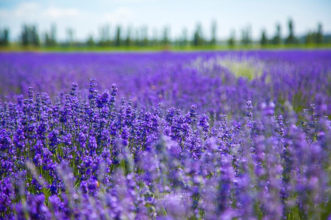 旅行中的故事讲述,旅行过程中的故事