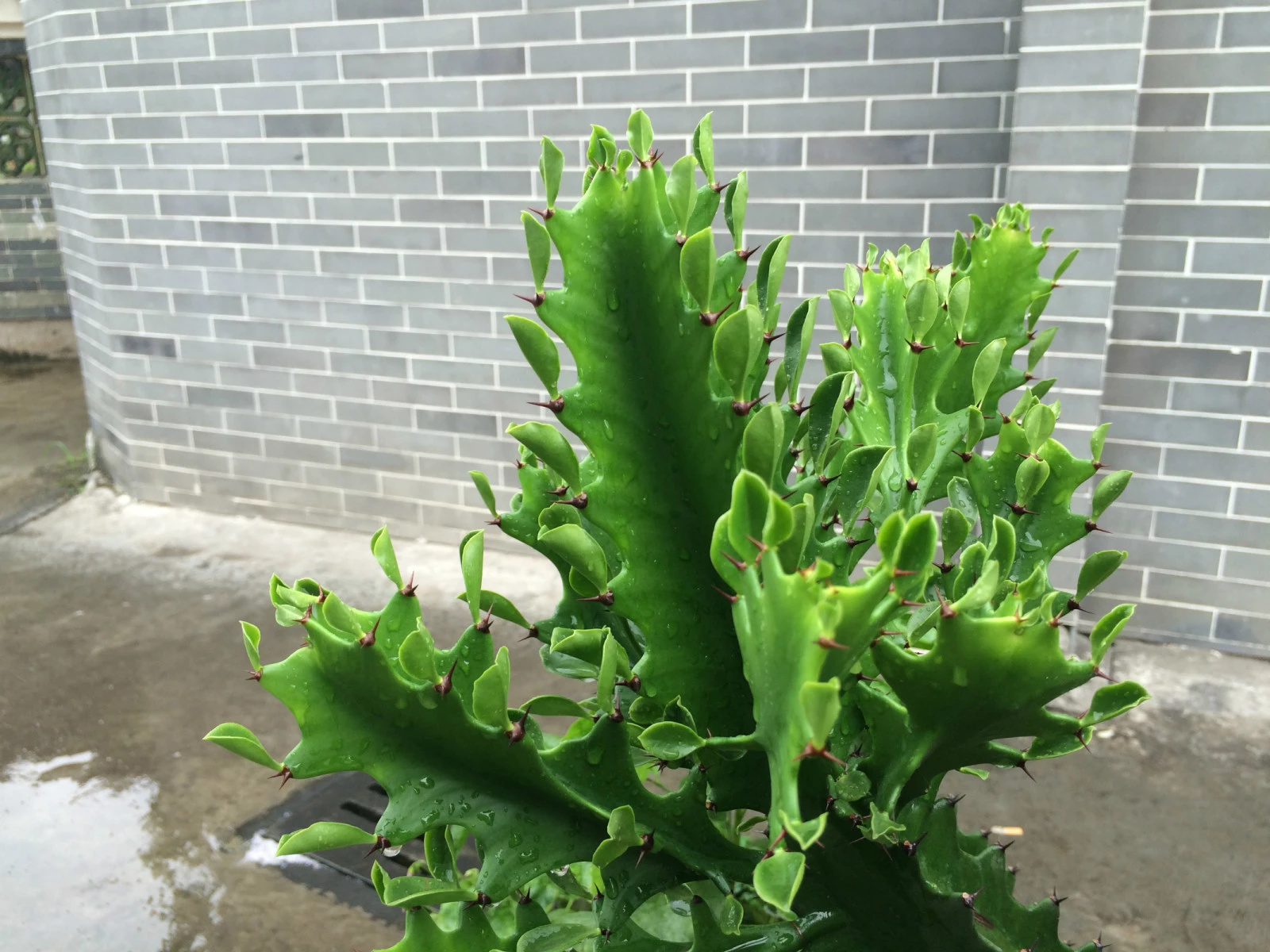 大隐隐于深山,大隐隐于市乌鲁木齐