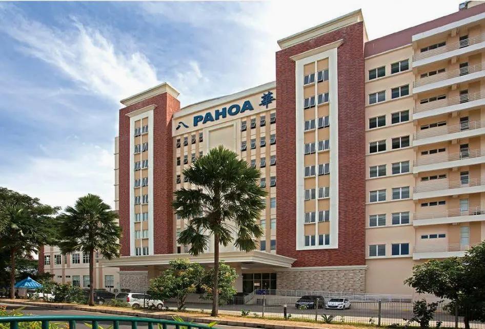 饰面材料有哪些,柔性饰面材料