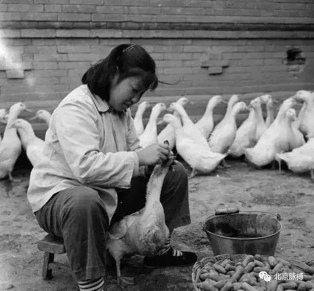 话说北京系列,画说北京