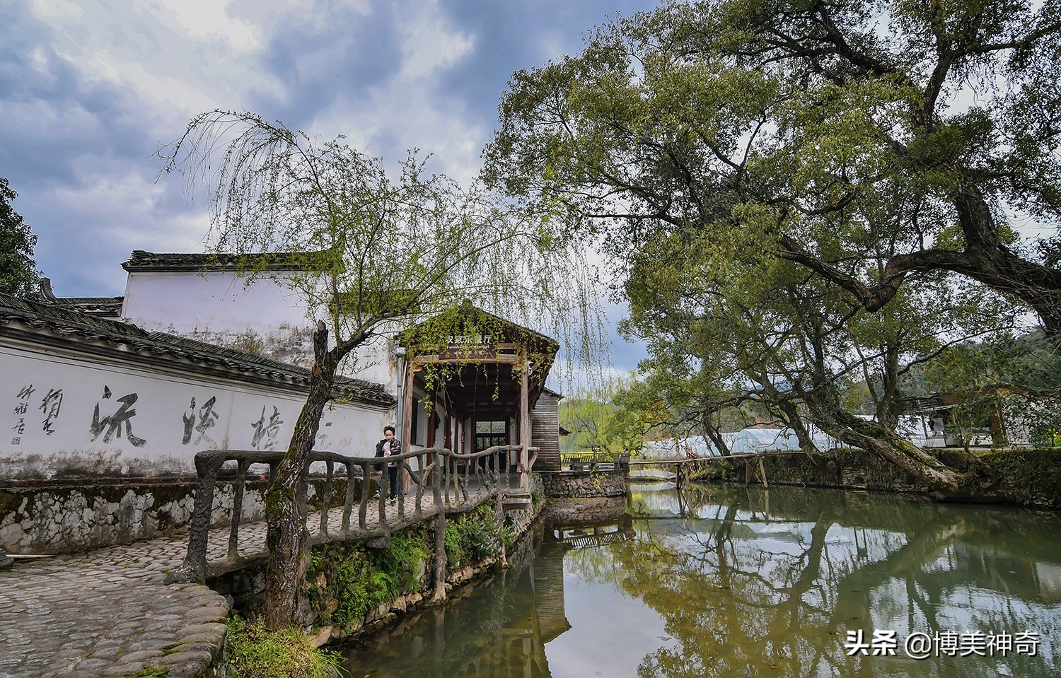 都知严田有棵救皇帝的樟王，却不明那七星伴月是何意，一图见真相