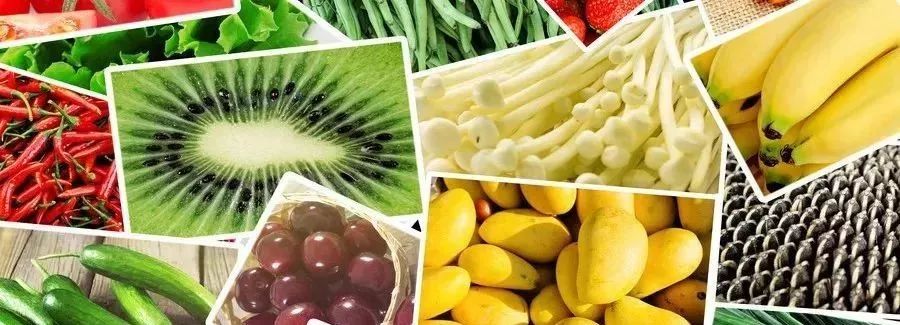 移植十四天后还要躺着吗,移植后的前14天怎么度过