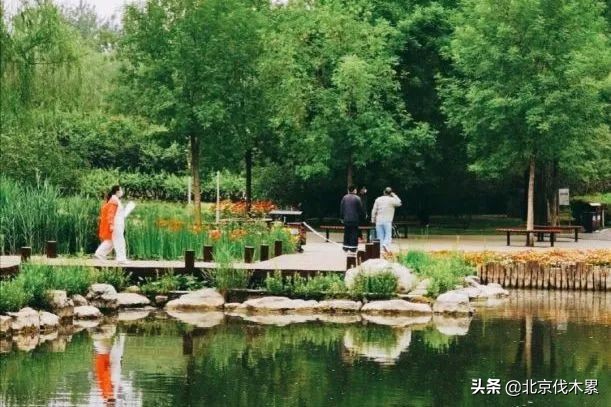 芒种至仲夏始最好的生活是什么,芒种好玩的地方