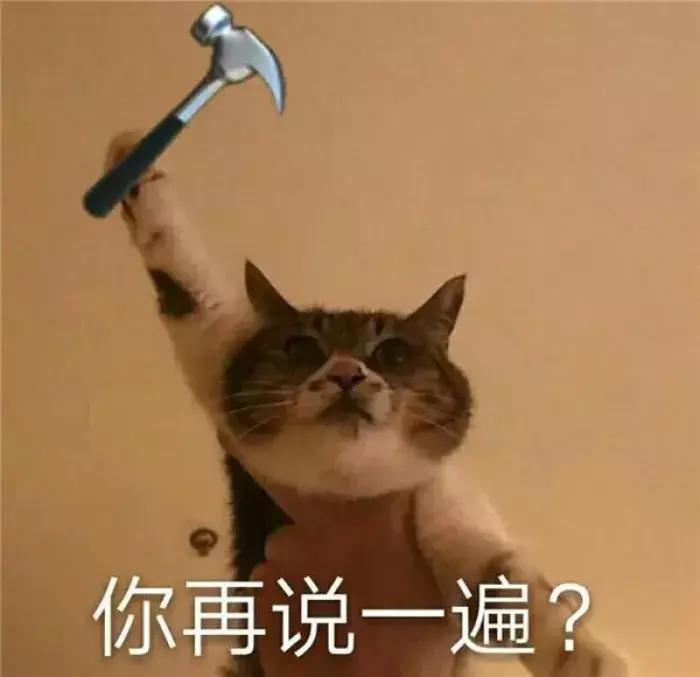 养了三年的猫突然想攻击我,养了两年的猫对我特别防备