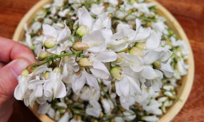 槐花除了蒸吃还可以咋吃,槐花怎样蒸着吃最有营养价值