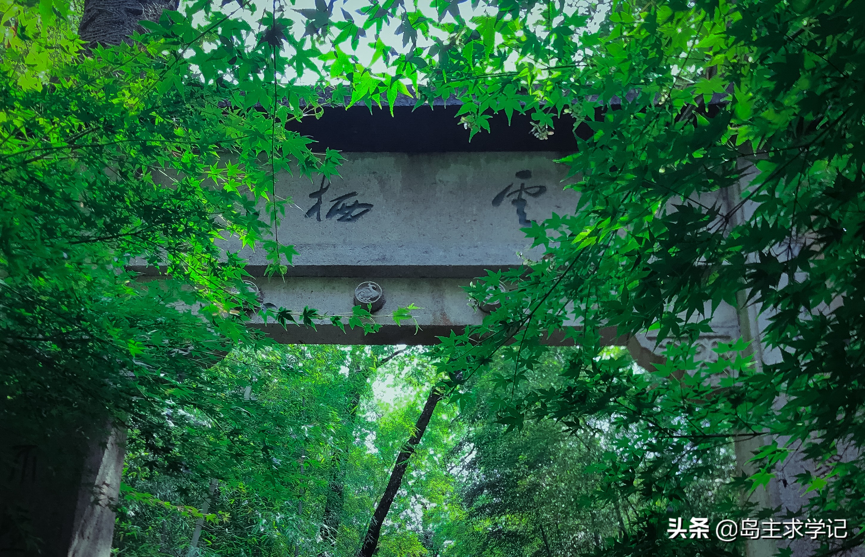 杭州西湖仙境云栖竹径,杭州好玩的地方推荐云栖竹径