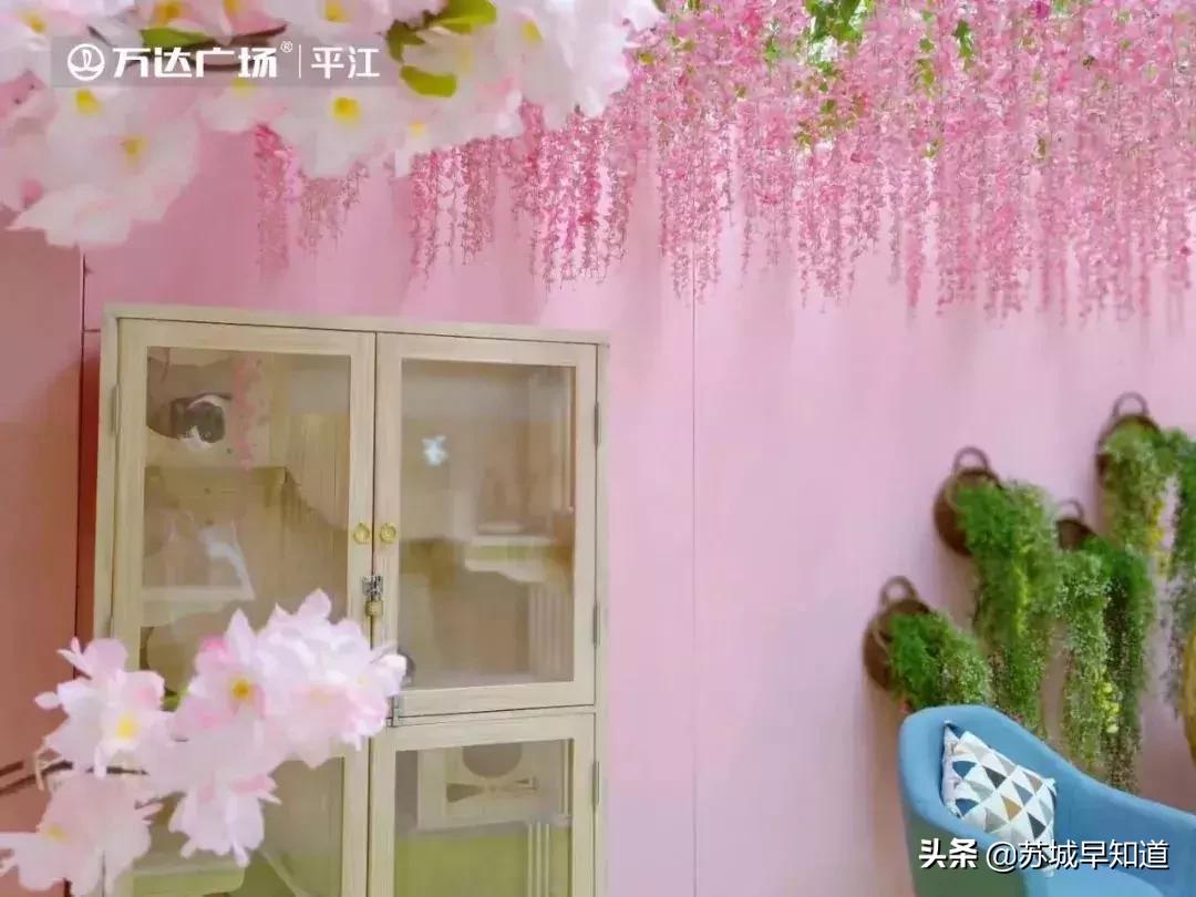 苏州市平江区万达广场,苏州平江万达广场