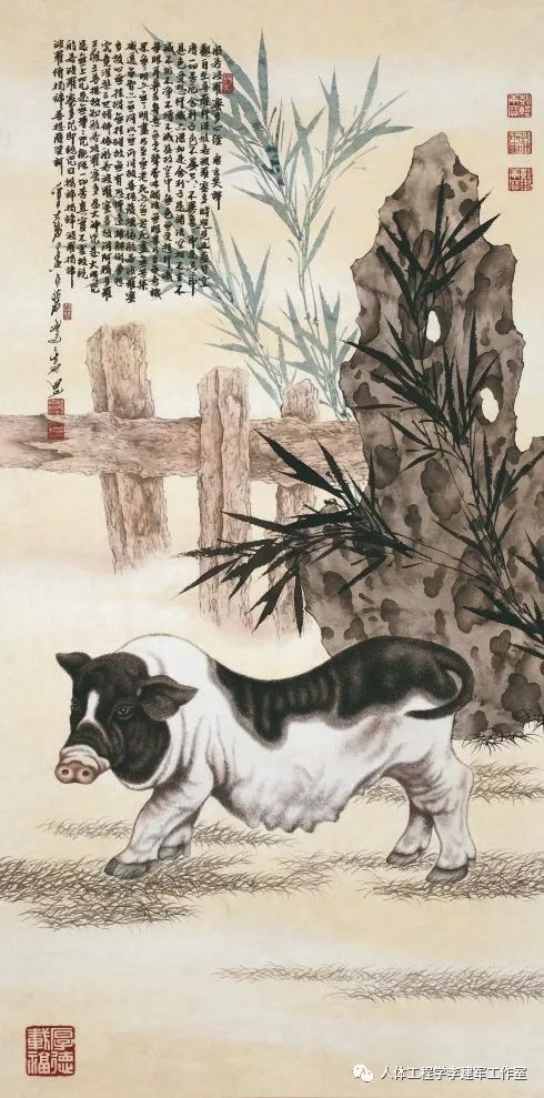 人体工程学生肖周运势：2020年6月14日—6月20日