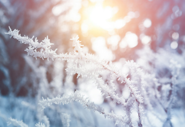 如何挖掘电商蓝海产品,三招教你快速找到蓝海产品