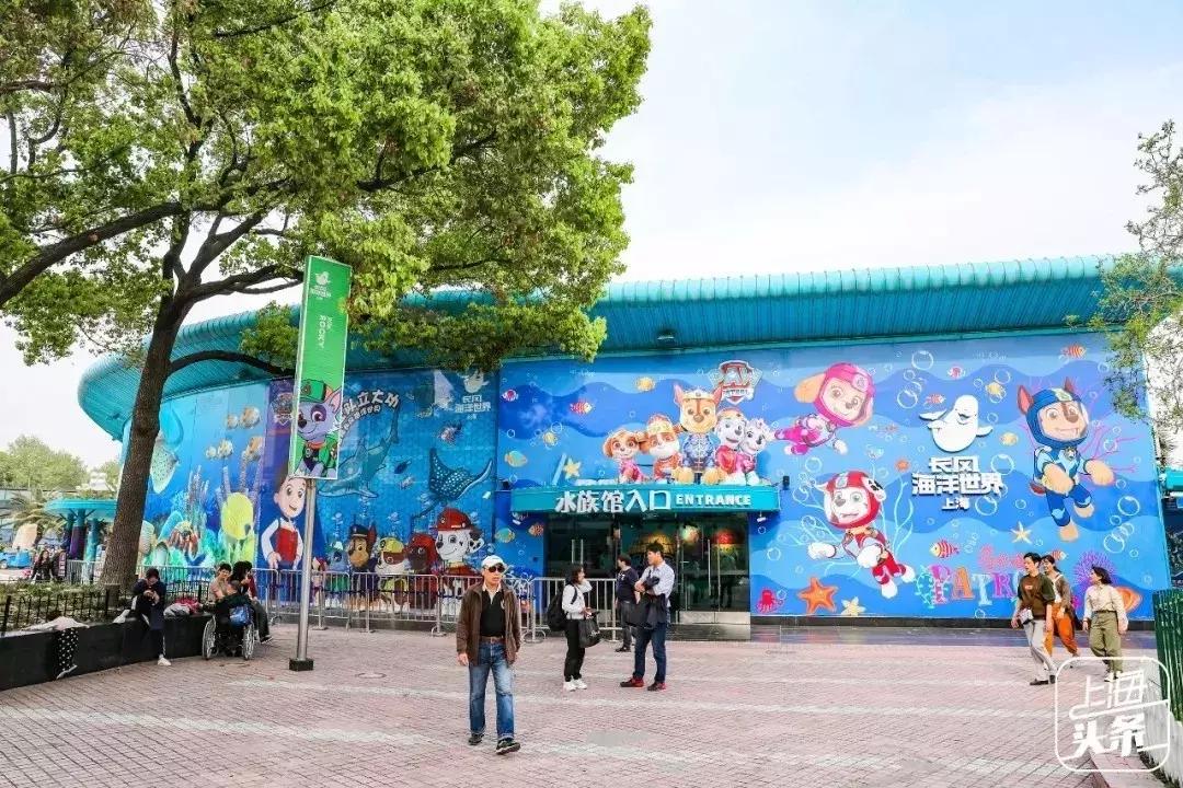 上海超全攻略,上海全天免费最值得去的旅游景点