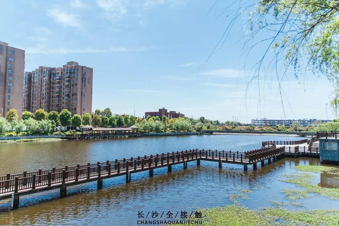 交院武广校区,交院在哪边