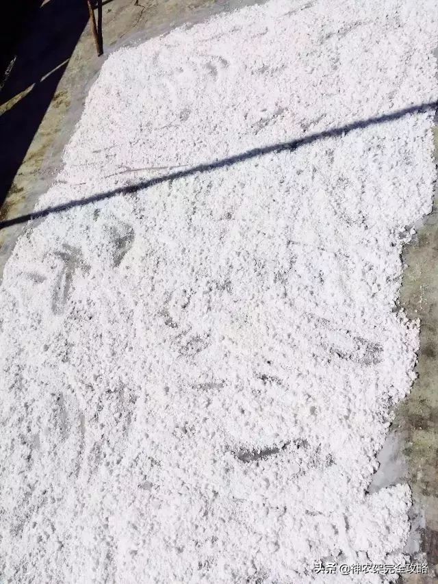 神农架前世今生,神农架祖先是谁